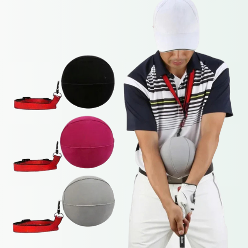 Person holding a golf club with various sports balls and collars displayed around them.