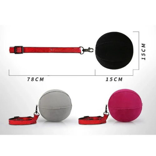 Dog accessories including a red leash, black ball, gray ball, and pink ball with measurements on a white background.