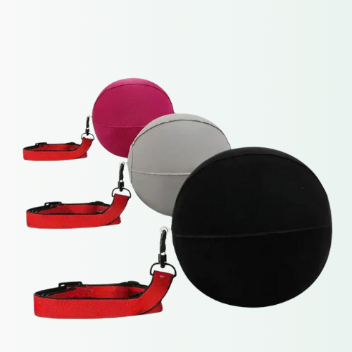 Set of dog training balls and leashes on a white background