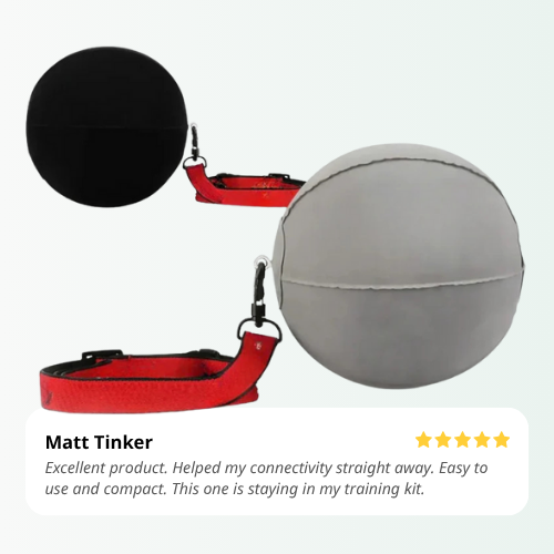 Gray dog ball with red leash and black collar on a white background