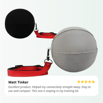 Gray dog ball with red leash and black collar on a white background