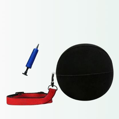 Black ball, red leash, and blue pump on a white background