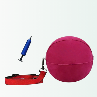 Pink exercise ball, red strap, and blue pump on a white background
